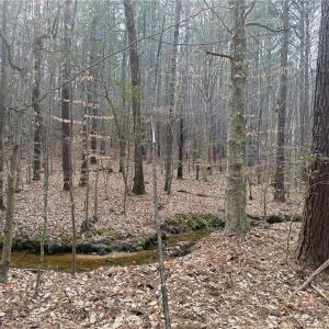 Photo #15 of Lot 8 Thompson, Seagrove, NC 11.0 acres