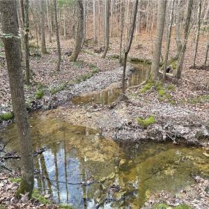 Photo #11 of Lot 8 Thompson, Seagrove, NC 11.0 acres