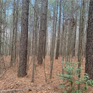 Photo #19 of Lot 8 Thompson, Seagrove, NC 11.0 acres