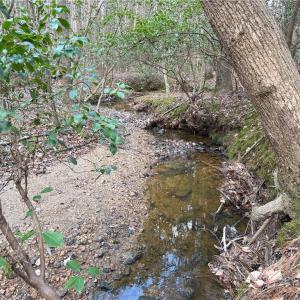 Photo #4 of Lot 8 Thompson, Seagrove, NC 11.0 acres