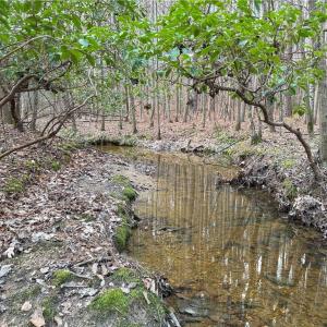 Photo #8 of Lot 8 Thompson, Seagrove, NC 11.0 acres