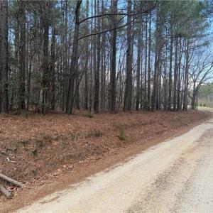 Photo #25 of Lot 8 Thompson, Seagrove, NC 11.0 acres