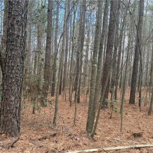 Photo #21 of Lot 8 Thompson, Seagrove, NC 11.0 acres