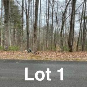 Photo #1 of LOT 1 Reserve, Stuart, VA 0.4 acres