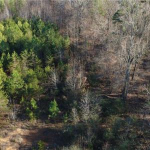 Photo #3 of Mulberry Academy, Franklinville, NC 10.3 acres