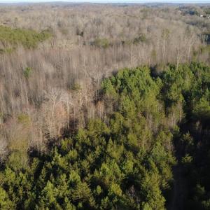 Photo #11 of Mulberry Academy, Franklinville, NC 10.3 acres