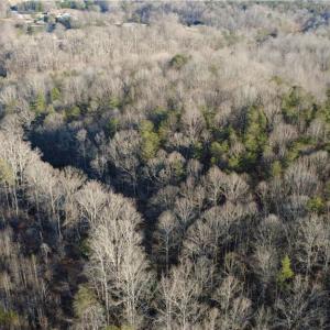 Photo #6 of Mulberry Academy, Franklinville, NC 10.3 acres