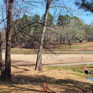 View of the 18th green and fairway with lot 54 in the upper right corner just past the lake.