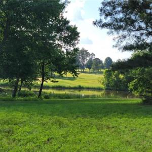 Seller photo of LOT 54 of Caswell Pines Golf Course in summer.