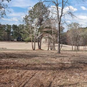 View of the vacant land.