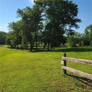 Seller photos of a side view of LOT 54 from the summer.