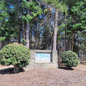 Welcome to Caswell Pines Golf Community!