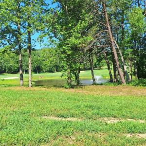 Seller photo showing the lake in Lot 54 at Caswell Pines.