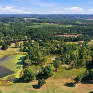 Aerial view of the 18th green and fairway, Lot 54 is in the middle of the photo at the back of the lake.