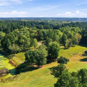 Another aerial view of Lot 54 at Caswell Pines.