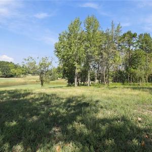 View of the vacant land.