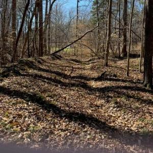 Photo #1 of NC Highway 801, Advance, NC 6.1 acres