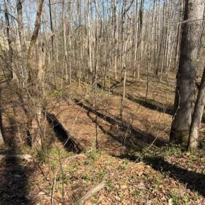 Photo #2 of NC Highway 801, Advance, NC 6.1 acres