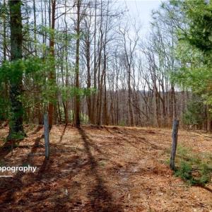 Photo #2 of 2482 Sisk, Lawsonville, NC 8.3 acres
