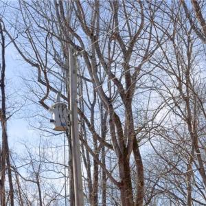 Photo #7 of 2482 Sisk, Lawsonville, NC 8.3 acres