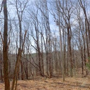 Photo #9 of 2482 Sisk, Lawsonville, NC 8.3 acres