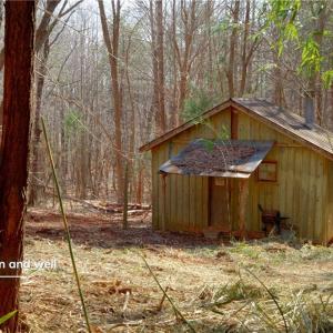 Photo #4 of 2482 Sisk, Lawsonville, NC 8.3 acres