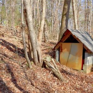 Photo #17 of 2482 Sisk, Lawsonville, NC 8.3 acres