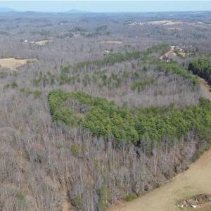 Photo #6 of 1284-1516 Tom Mix, Westfield, NC 95.0 acres