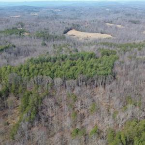 Photo #7 of 1284-1516 Tom Mix, Westfield, NC 95.0 acres