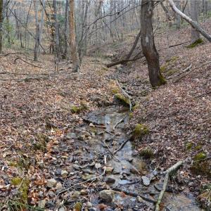 Photo #36 of 1284-1516 Tom Mix, Westfield, NC 95.0 acres