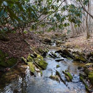 Photo #1 of 1284-1516 Tom Mix, Westfield, NC 95.0 acres