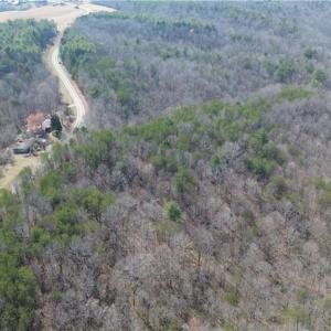 Photo #5 of 1284-1516 Tom Mix, Westfield, NC 95.0 acres