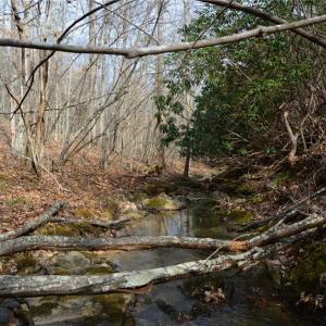 Photo #38 of 1284-1516 Tom Mix, Westfield, NC 95.0 acres