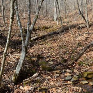 Photo #23 of 1284-1516 Tom Mix, Westfield, NC 95.0 acres