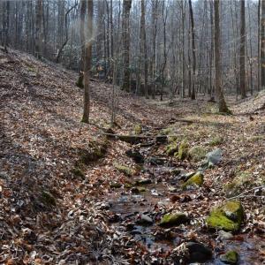 Photo #27 of 1284-1516 Tom Mix, Westfield, NC 95.0 acres