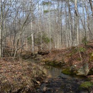Photo #43 of 1284-1516 Tom Mix, Westfield, NC 95.0 acres