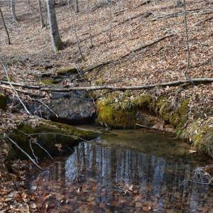 Photo #28 of 1284-1516 Tom Mix, Westfield, NC 95.0 acres