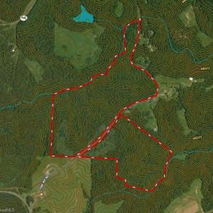 Photo #49 of 1284-1516 Tom Mix, Westfield, NC 95.0 acres