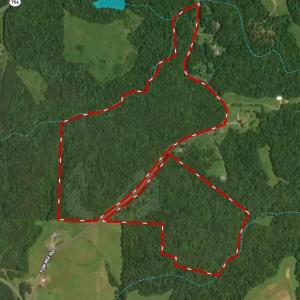 Photo #48 of 1284-1516 Tom Mix, Westfield, NC 95.0 acres