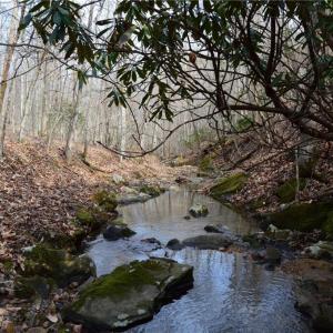 Photo #40 of 1284-1516 Tom Mix, Westfield, NC 95.0 acres