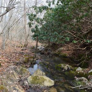 Photo #39 of 1284-1516 Tom Mix, Westfield, NC 95.0 acres