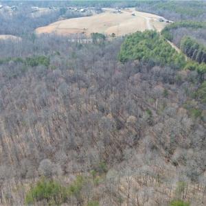 Photo #8 of 1284-1516 Tom Mix, Westfield, NC 95.0 acres