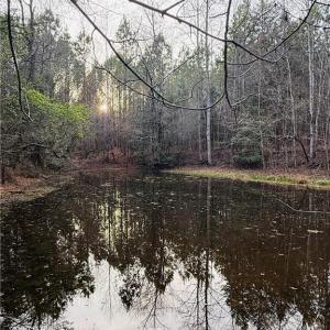Photo #3 of Mack, Seagrove, NC 24.3 acres