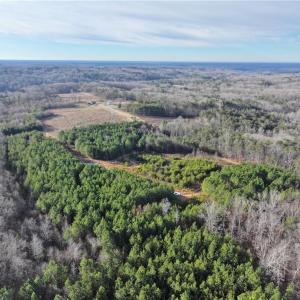 Photo #2 of 7975 Evans Farm, Tobaccoville, NC 29.1 acres