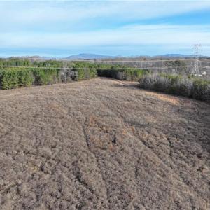 Photo #6 of 7975 Evans Farm, Tobaccoville, NC 29.1 acres