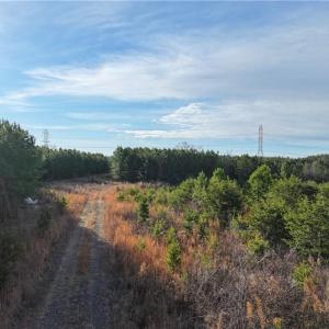 Photo #12 of 7975 Evans Farm, Tobaccoville, NC 29.1 acres