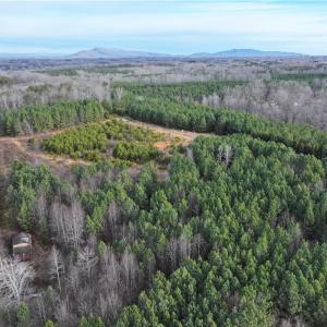 Photo #3 of 7975 Evans Farm, Tobaccoville, NC 29.1 acres