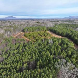 Photo #1 of 7975 Evans Farm, Tobaccoville, NC 29.1 acres