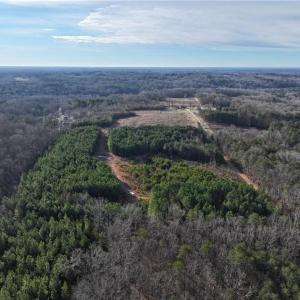 Photo #10 of 7975 Evans Farm, Tobaccoville, NC 29.1 acres