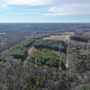 Photo #11 of 7975 Evans Farm, Tobaccoville, NC 29.1 acres
